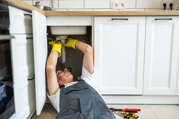 Best Residential Plumbing Services  in Lake Placid, FL