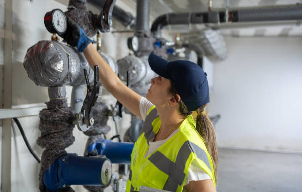 Best Plumbing Inspection Services  in Lake Placid, FL