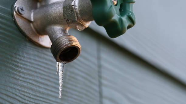 Best Plumbing Repair Near Me  in Lake Placid, FL